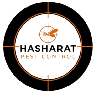 شركات رش البق في الشروق