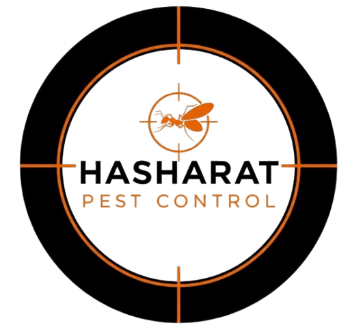 شركة مكافحة البق فى عين شمس
