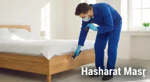 شركة حشرات بيست كنترول تقوم بفحص دقيق